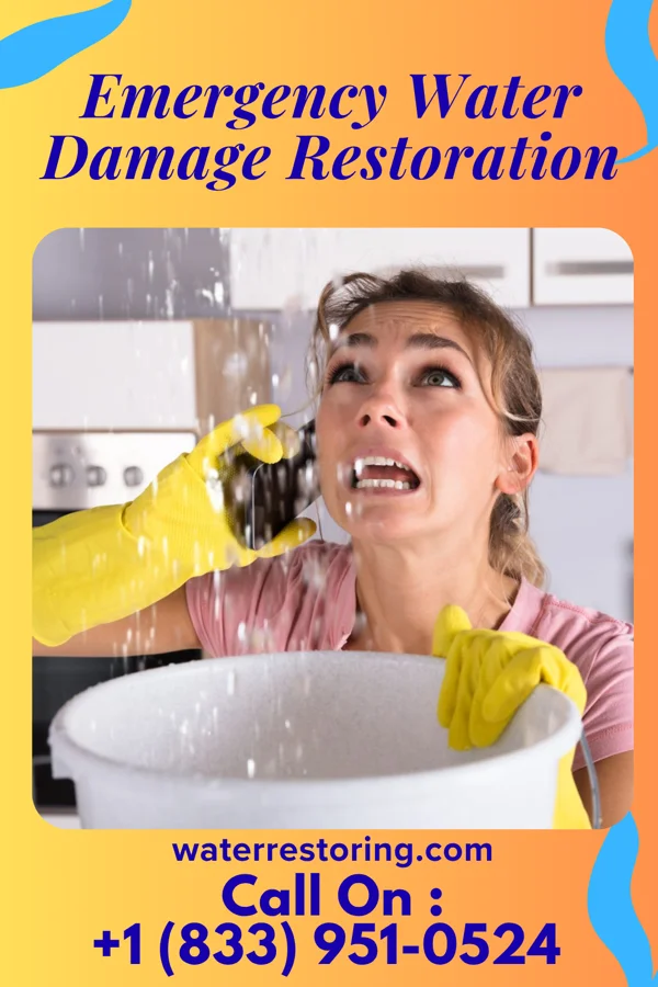 Emergency Water Damage Restoration in Brookview, MD