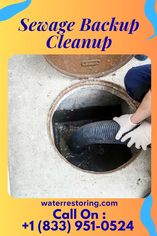 Sewage Backup Cleanup in Brookview, MD