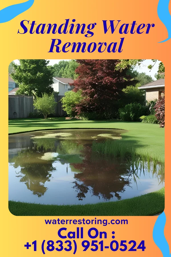 Standing Water Removal in Brookview, MD